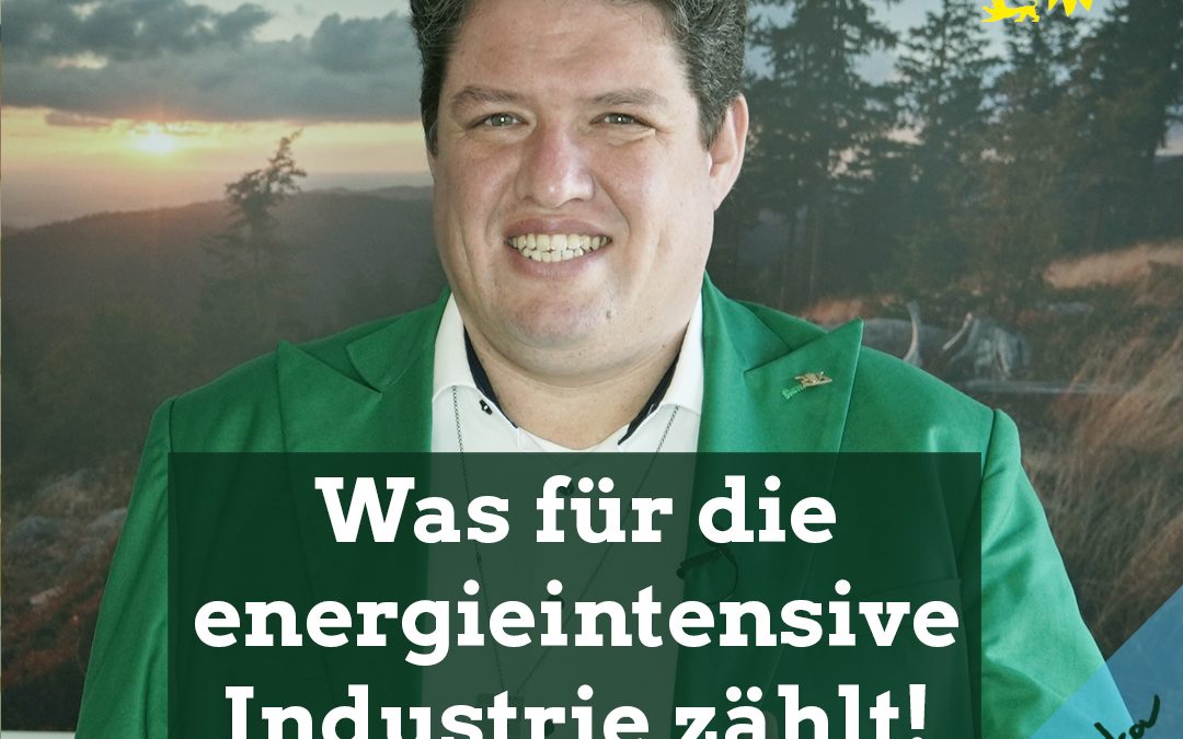 Was für die energieintensive Industrie zählt! Klartext vom größten Strom- und Gasverbraucher in meinem Wahlkreis