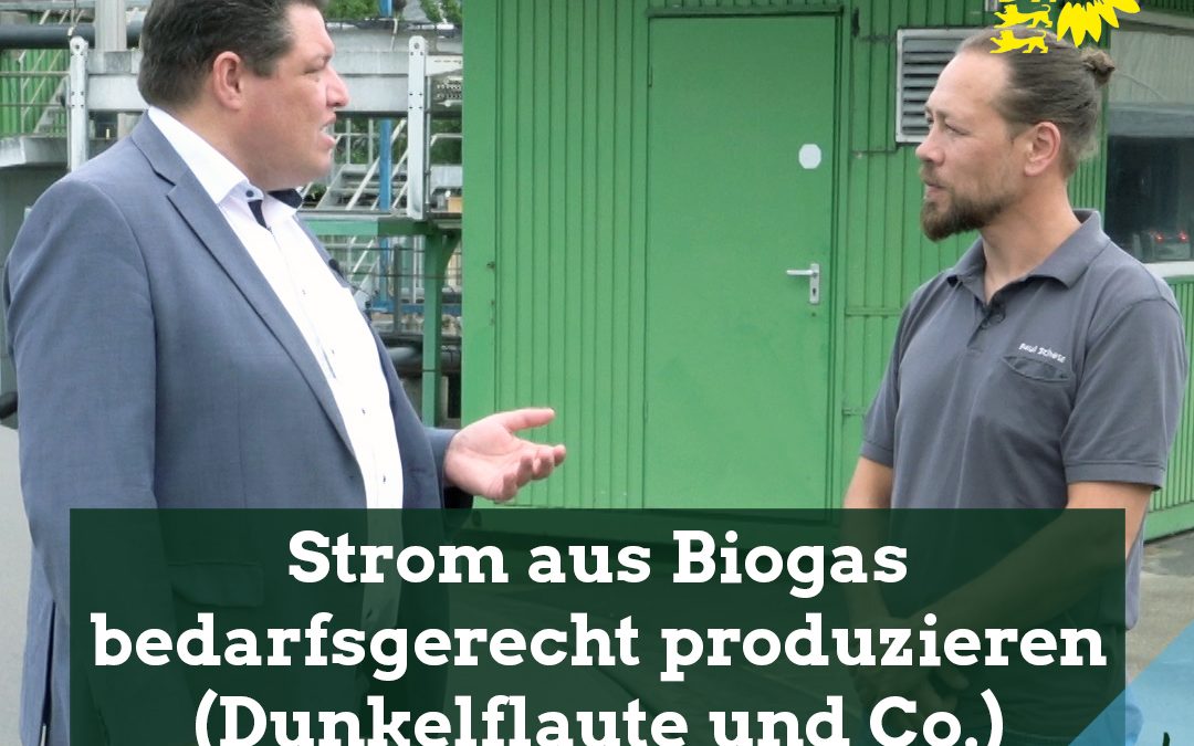 Im Gespräch mit Paul Schatz, Prokurist der Firma Pure Power, über bedarfsgerechte Produktion von Strom aus Biogas